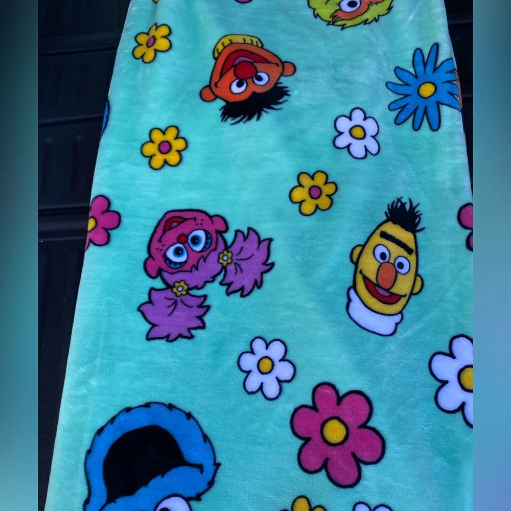 Sesame Street oversize plush throw -incredibly soft!  Brand new 60”x70” LAST ONE